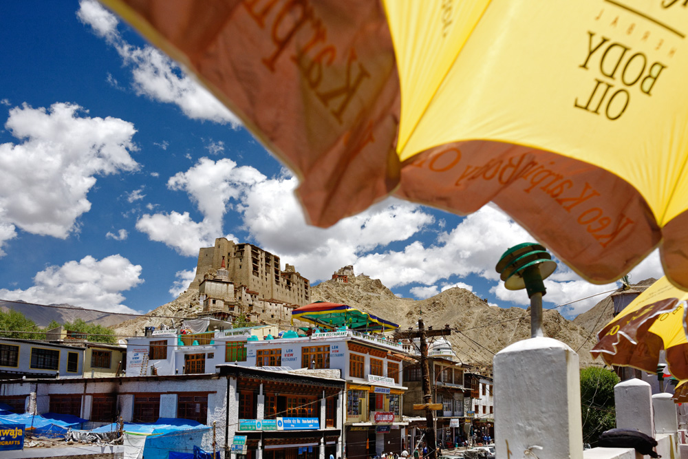 Leh Palace Viewing from La Terrasse